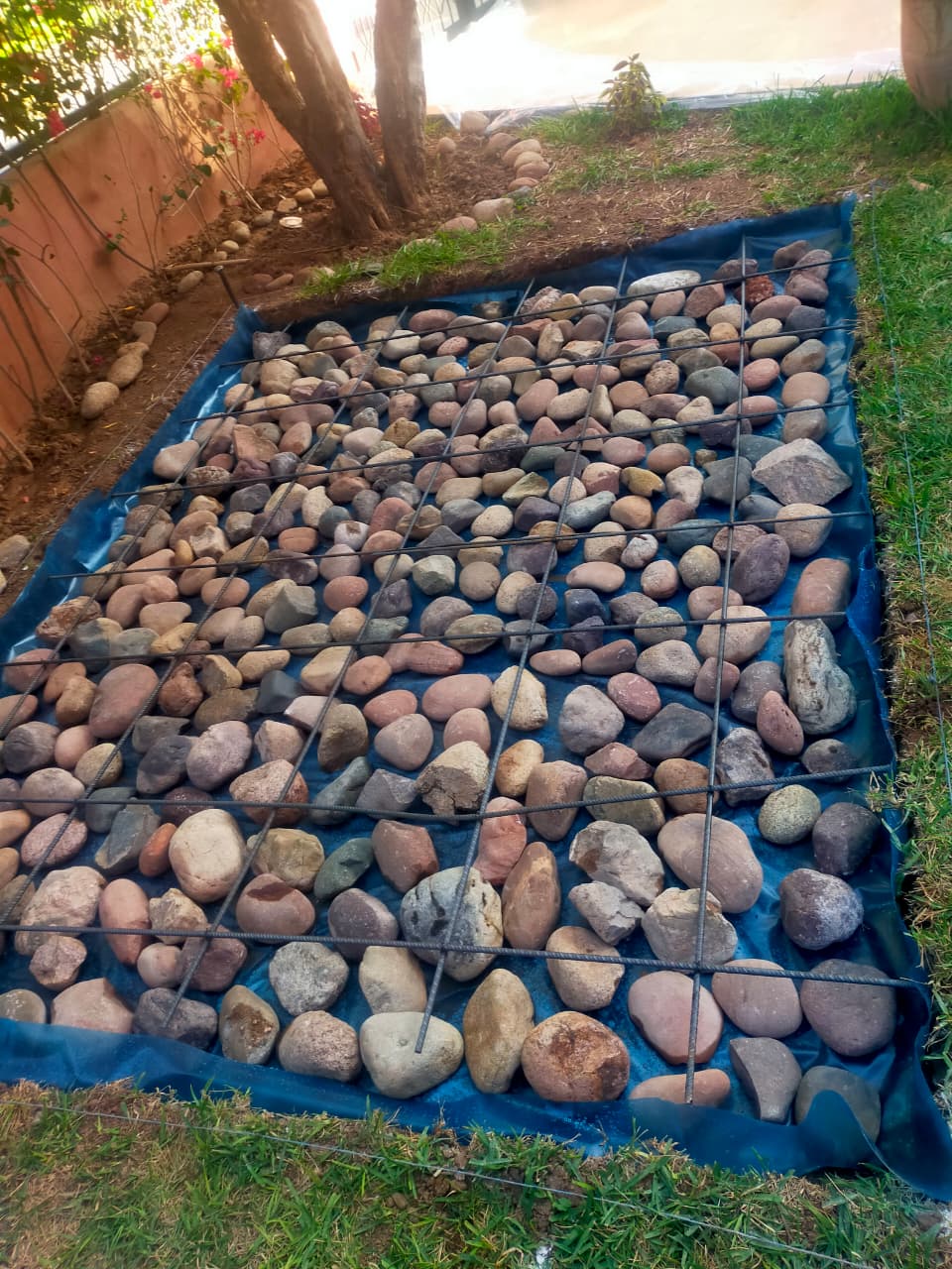 WhatsApp Image 2025-09-01 at 19.31.47_4791bfdc